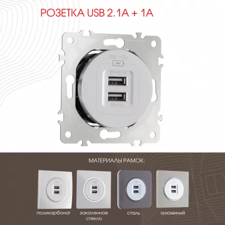 Розетка USB 2.1А+1А 202.46-1.silver